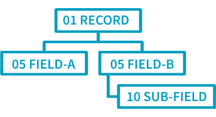 Hierarchical tree diagram of COBOL data structures, detailing the relationship between records, fields, and sub-fields.